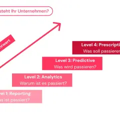 Ein HR Analyst nutzt die Stufen der HR Analytics, von Reporting bis Prescriptive, um strategischen Mehrwert zu schaffen.