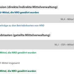 Grafik zeigt EU-Mittel für NRO: 4,8 Mio. € von der Kommission, 2,2 Mio. € ESF+ und 0,4 Mio. € AMIF von Mitgliedstaaten. Die NGO Bedeutung wird durch diese Finanzierung unterstrichen.