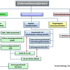 Diagramm zeigt Unternehmensformen, darunter deutsche Gesellschaften wie GbR/BGB-Gesellschaften, die kein Mindestkapital erfordern.