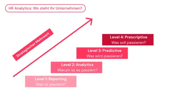 Ein HR Analyst nutzt die Stufen der HR Analytics, von Reporting bis Prescriptive, um strategischen Mehrwert zu schaffen.