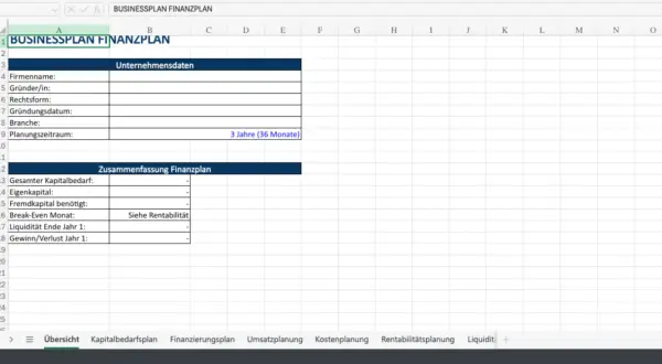 Excel-Tabelle zur Erstellung eines Finanzplans mit Feldern für Unternehmensdaten und Zusammenfassung.
