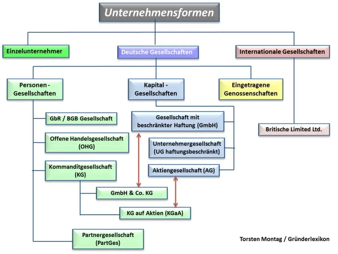 Diagramm zeigt Unternehmensformen, darunter deutsche Gesellschaften wie GbR/BGB-Gesellschaften, die kein Mindestkapital erfordern.