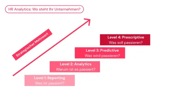 Ein HR Analyst nutzt die Stufen der HR Analytics, von Reporting bis Prescriptive, um strategischen Mehrwert zu schaffen.